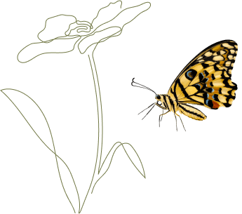 vector flower with butterfly