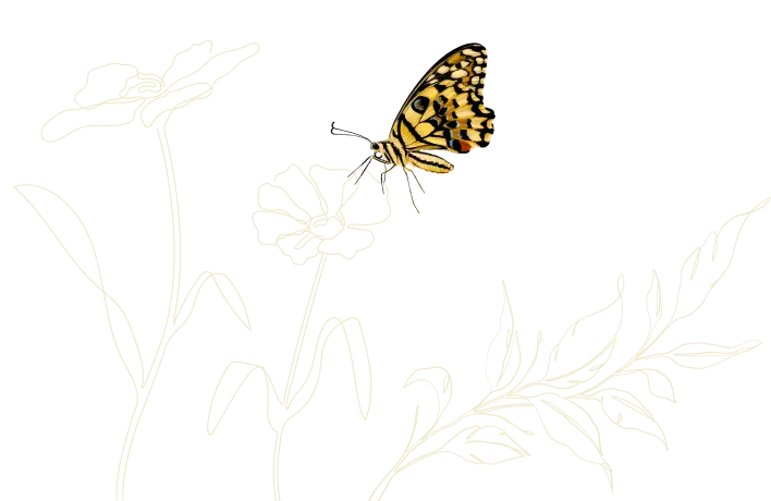 flower illustration with butterfly on the flower